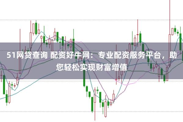 51网贷查询 配资好牛网：专业配资服务平台，助您轻松实现财富增值