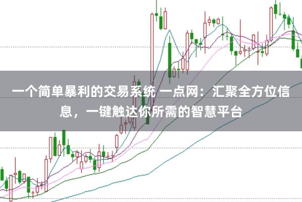 一个简单暴利的交易系统 一点网：汇聚全方位信息，一键触达你所需的智慧平台