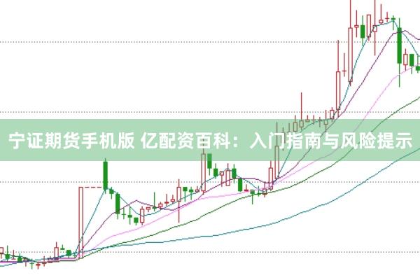 宁证期货手机版 亿配资百科：入门指南与风险提示