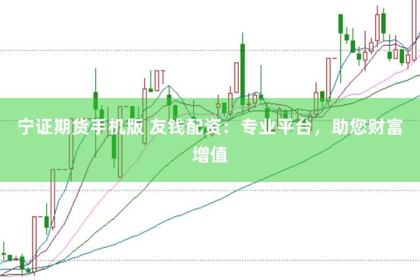 宁证期货手机版 友钱配资：专业平台，助您财富增值