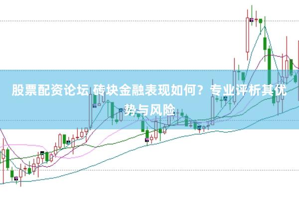 股票配资论坛 砖块金融表现如何？专业评析其优势与风险