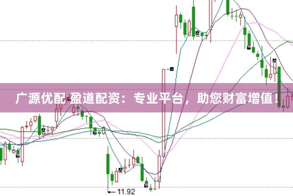 广源优配 盈道配资：专业平台，助您财富增值！