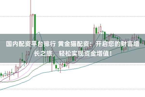 国内配资平台排行 黄金猫配资：开启您的财富增长之旅，轻松实现资金增值！