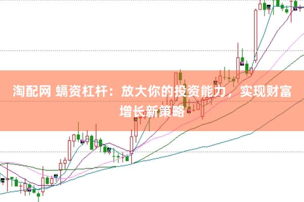 淘配网 螎资杠杆：放大你的投资能力，实现财富增长新策略