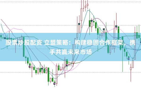 股票炒股配资 立盟策略：构建稳固合作框架，携手共赢未来市场