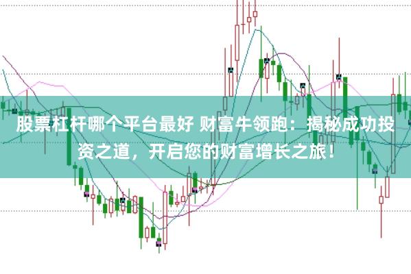 股票杠杆哪个平台最好 财富牛领跑：揭秘成功投资之道，开启您的财富增长之旅！