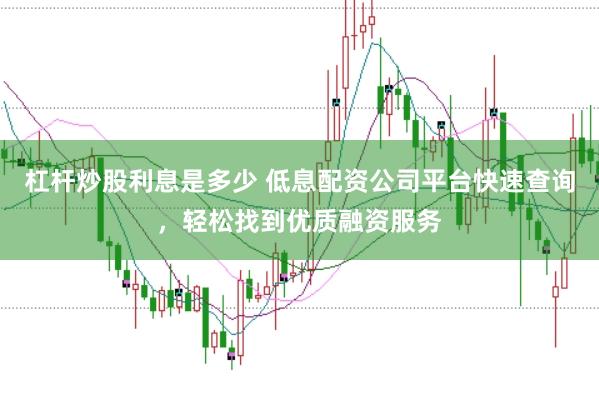 杠杆炒股利息是多少 低息配资公司平台快速查询，轻松找到优质融资服务