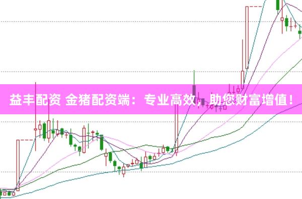 益丰配资 金猪配资端：专业高效，助您财富增值！