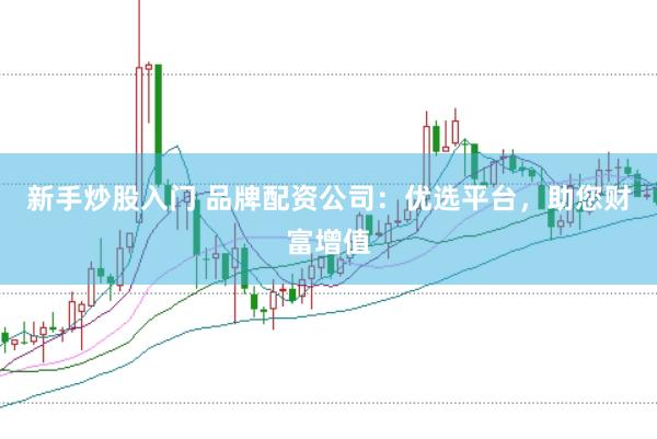 新手炒股入门 品牌配资公司：优选平台，助您财富增值