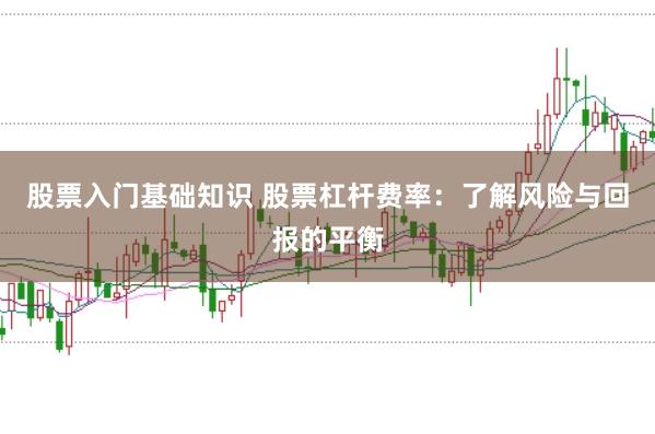 股票入门基础知识 股票杠杆费率：了解风险与回报的平衡