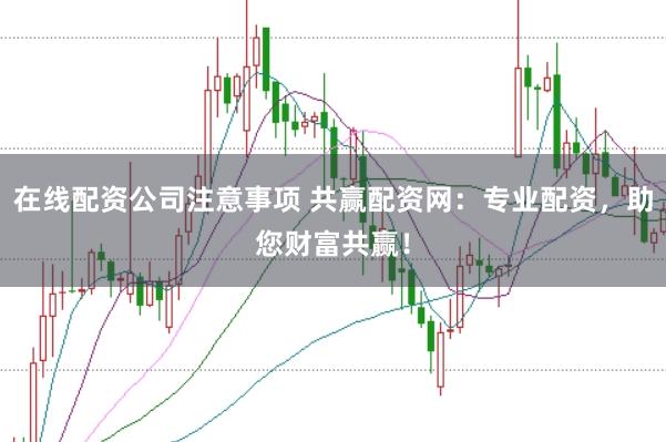 在线配资公司注意事项 共赢配资网：专业配资，助您财富共赢！