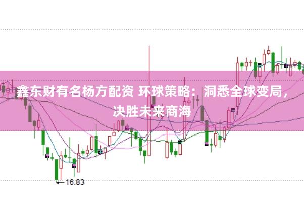 鑫东财有名杨方配资 环球策略：洞悉全球变局，决胜未来商海