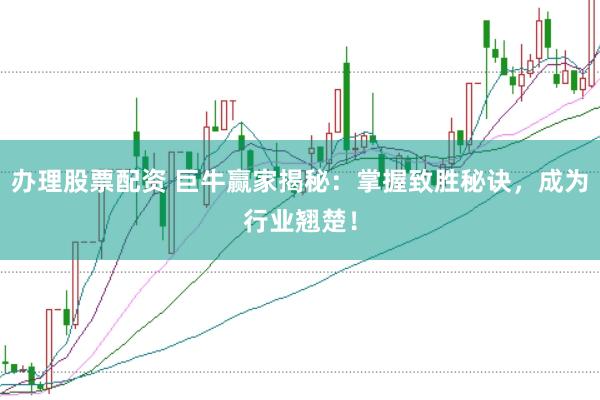 办理股票配资 巨牛赢家揭秘：掌握致胜秘诀，成为行业翘楚！