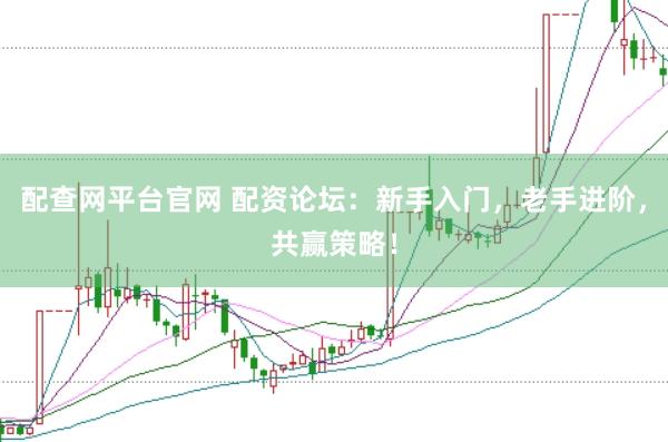 配查网平台官网 配资论坛：新手入门，老手进阶，共赢策略！