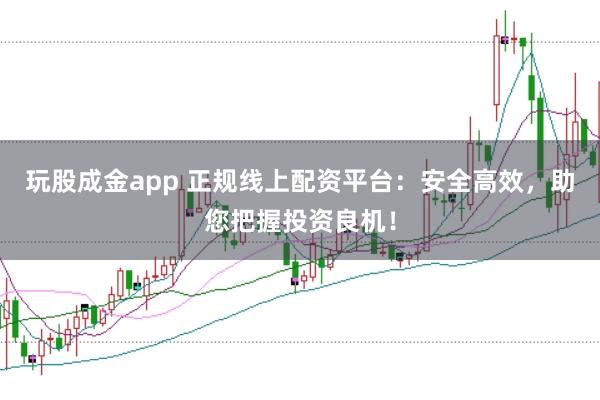 玩股成金app 正规线上配资平台:安全高效,助您把握投资良机!