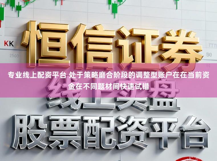 专业线上配资平台 处于策略磨合阶段的调整型账户在在当前资金在不同题材间快速试错