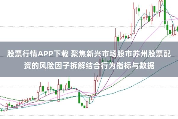 股票行情APP下载 聚焦新兴市场股市苏州股票配资的风险因子拆解结合行为指标与数据