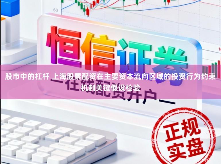 股市中的杠杆 上海股票配资在主要资本流向区域的投资行为约束机制关键假设检验