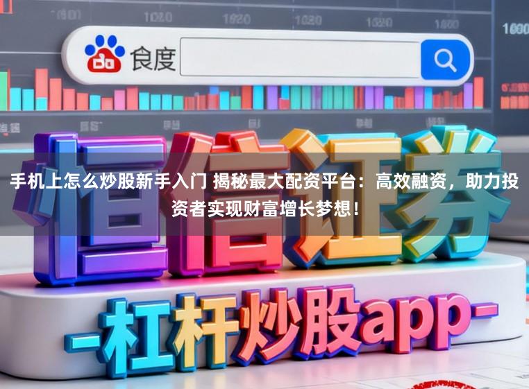 手机上怎么炒股新手入门 揭秘最大配资平台:高效融资,助力投资者实现财富增长梦想!